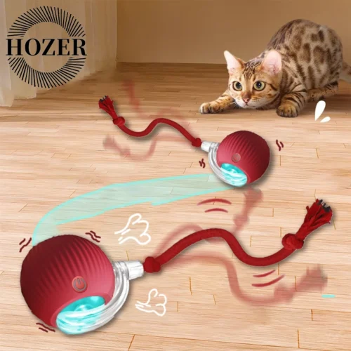 ChaseBall™ – Balle Électrique Interactive pour Chats