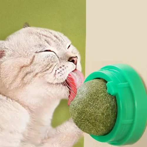 HerbaLick™ – Boule Murale d’Herbe à Chat Digestive & Apaisante